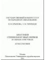 Анатомия спинномозговых нервов в схемах и рисунках