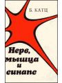 Нерв, мышца и синапс Нерв, мышца и синапс
