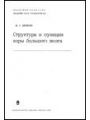 Структура и функции коры большого мозга.